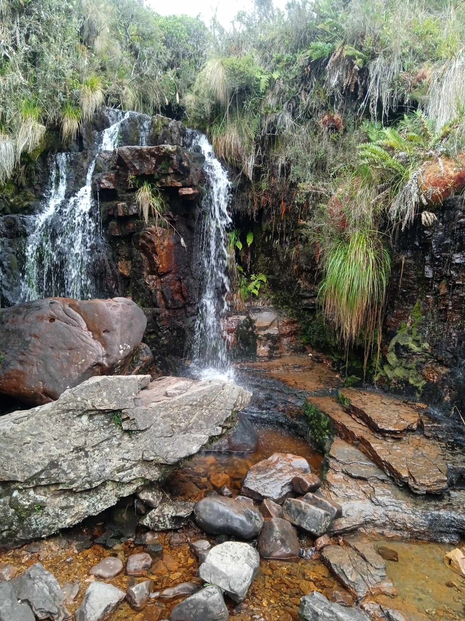 matarredonda